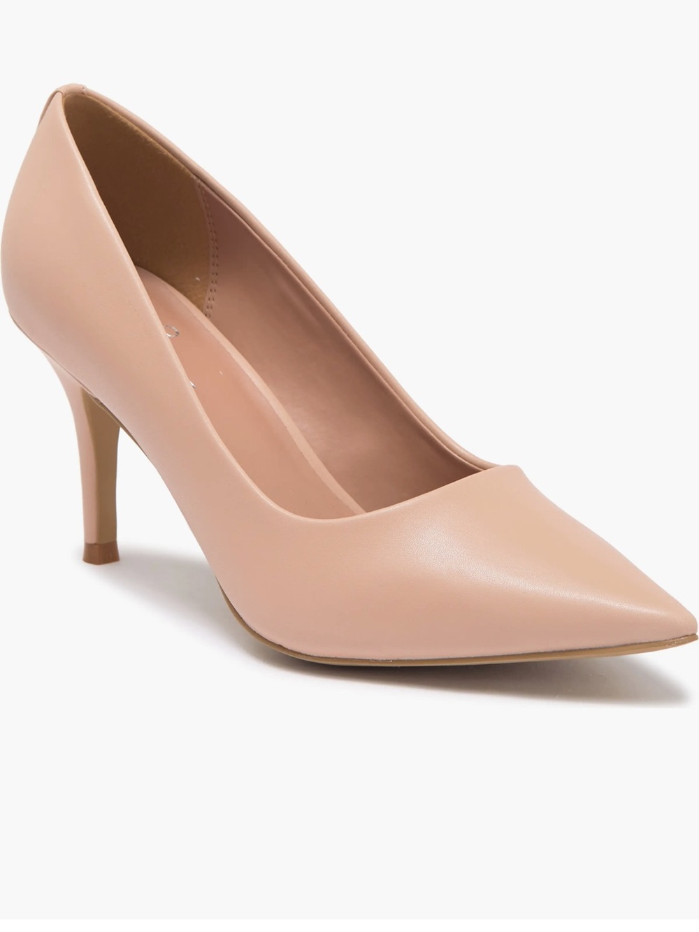 Linea Paolo Classic Pointed Toe Pumps in Nude